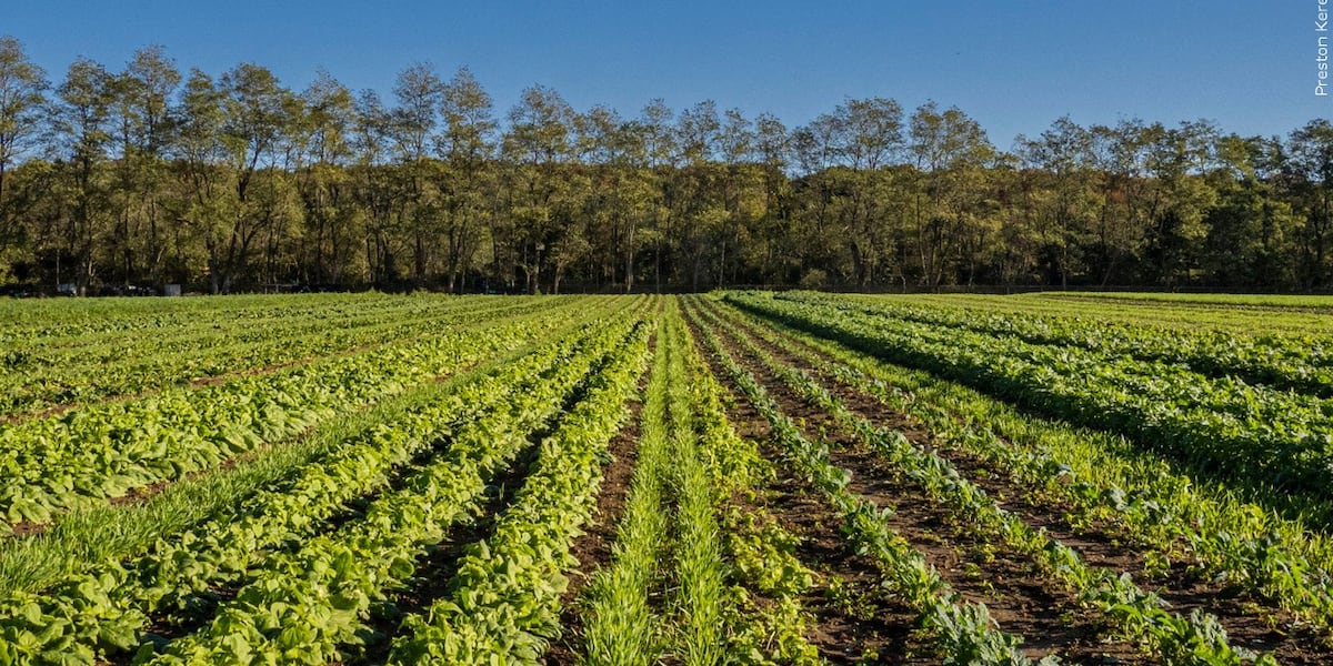 Grants totaling $1.6 million going to local farms