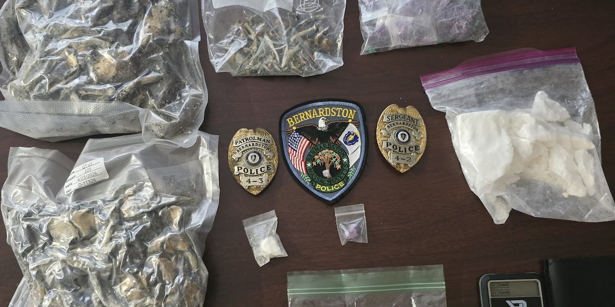 Two arrested for possession heading to music festival