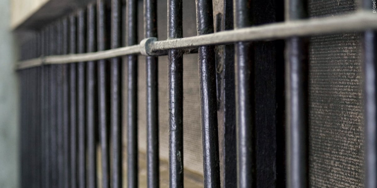 Belmont teacher arrested for possession of child sexual abuse material