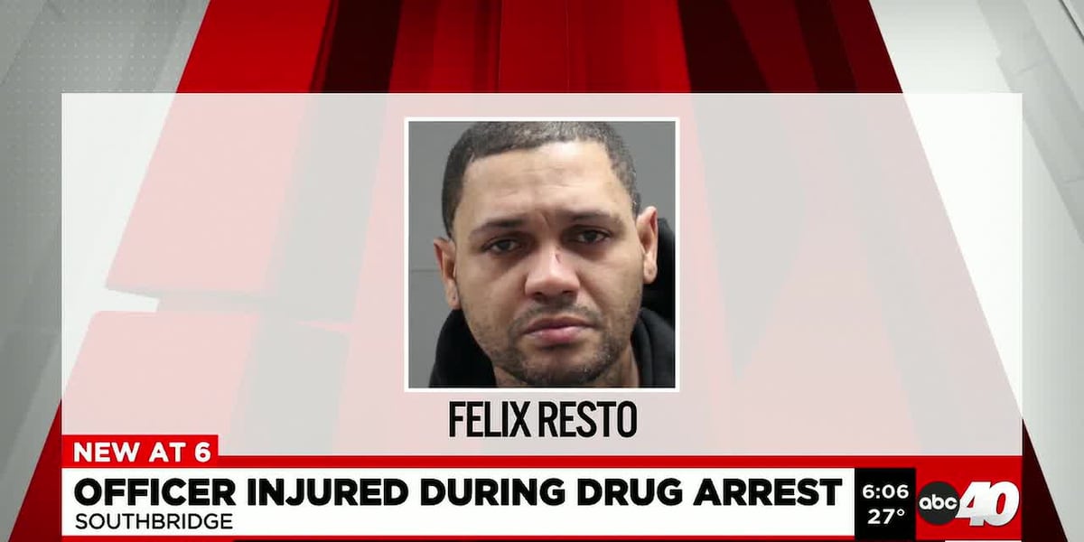 Southbridge officer injured during drug arrest, dog killed