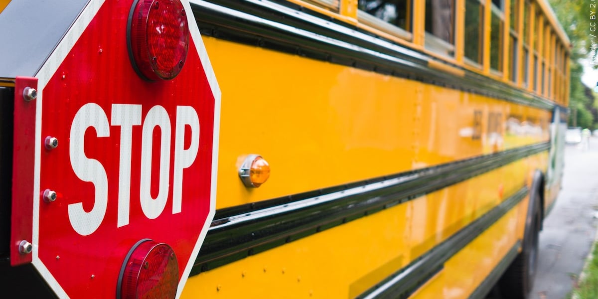 Chicopee officials share update on illegal bus passing enforcement