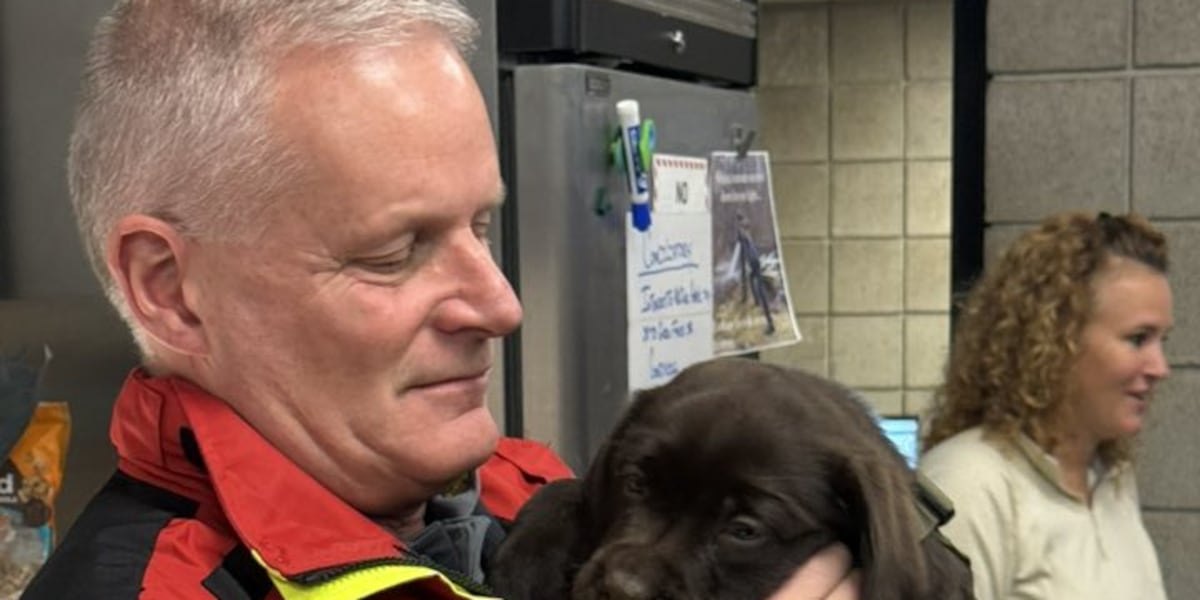 Firefighters visited by comfort puppies after Olympia Place fire