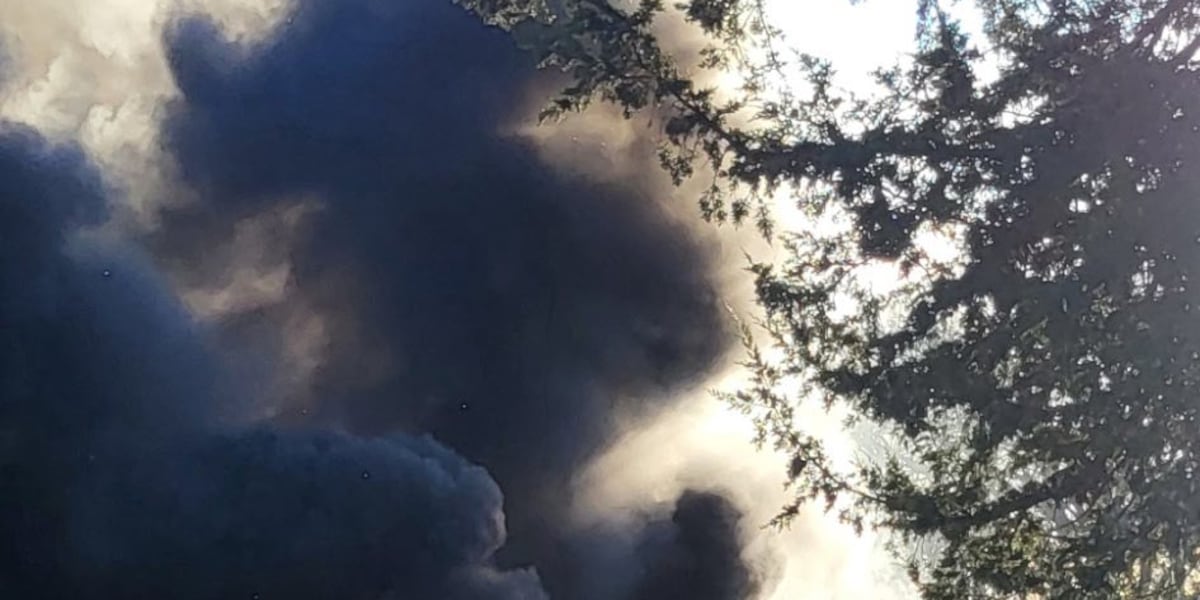 Fire crews put out blazing car fire