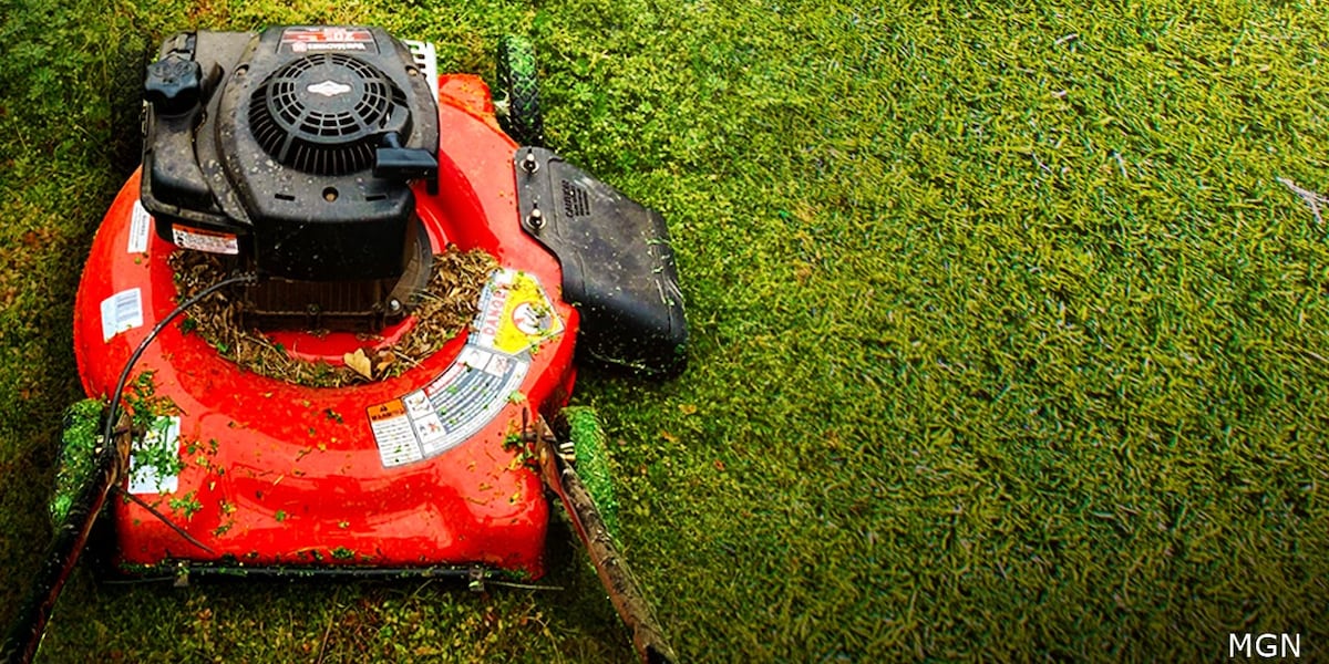 Your lawn is waking up - here’s what to do right now