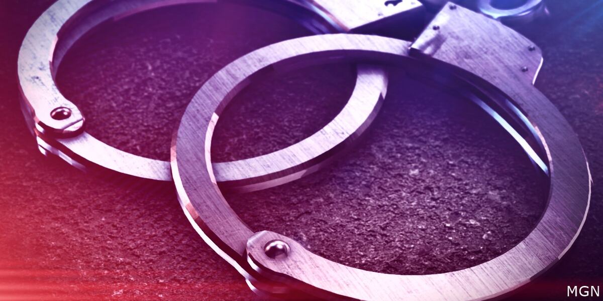 Domestic disturbance leads to felony charges