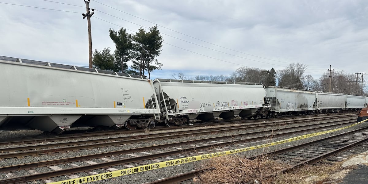 Cargo train derails in Ware