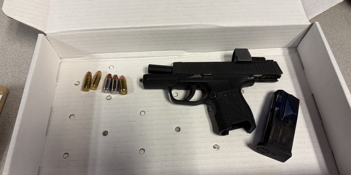 Police seize loaded handgun, one arrested