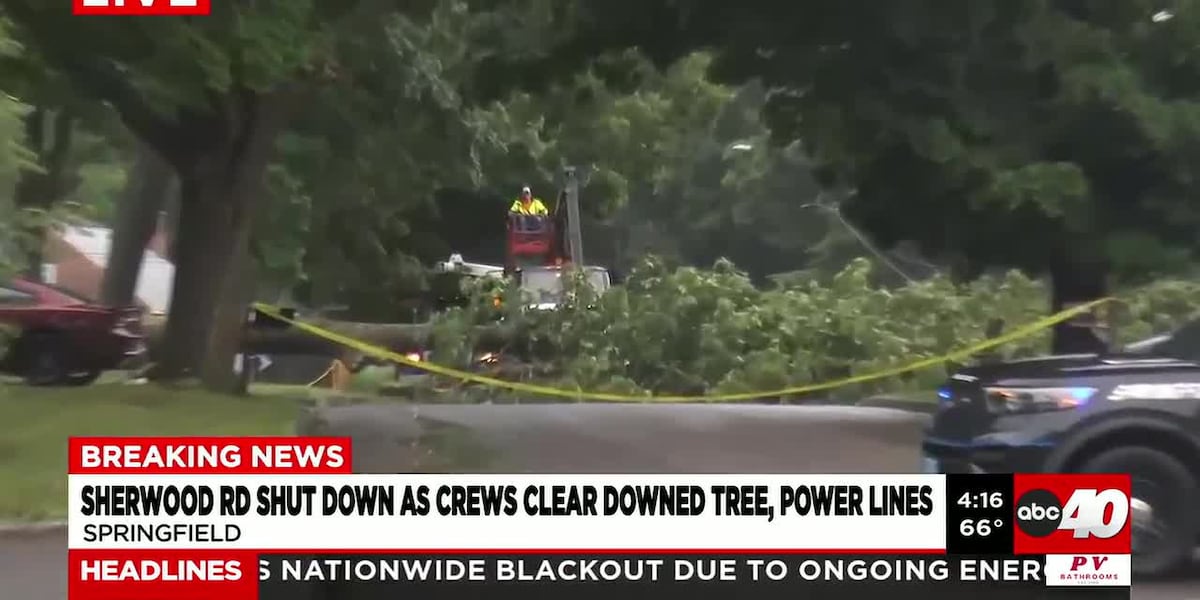 Sherwood Road blocked by downed tree, power lines