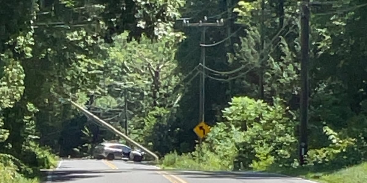 Car strikes utility pole in Montgomery