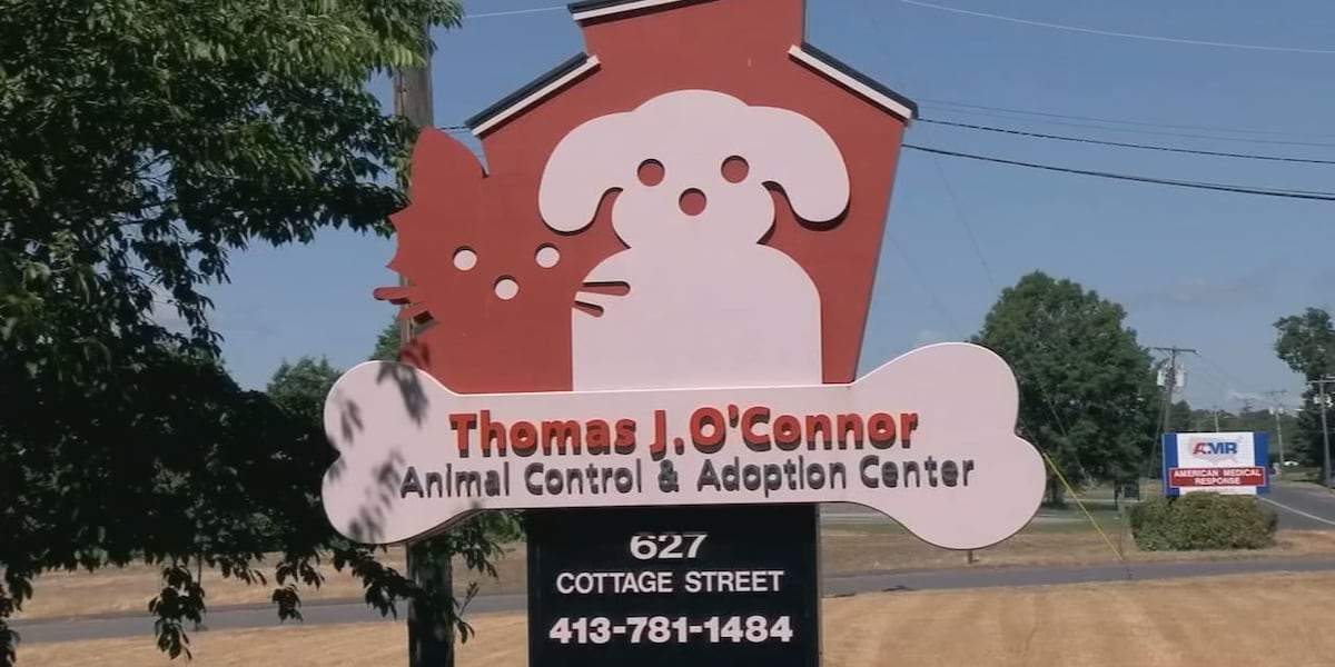 Foundation for TJO Animals to hold 24-hour Day of Compassion