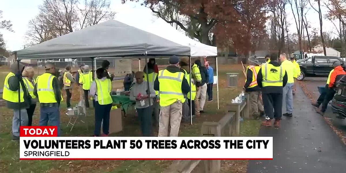 Volunteers plant over 50 trees across Springfield