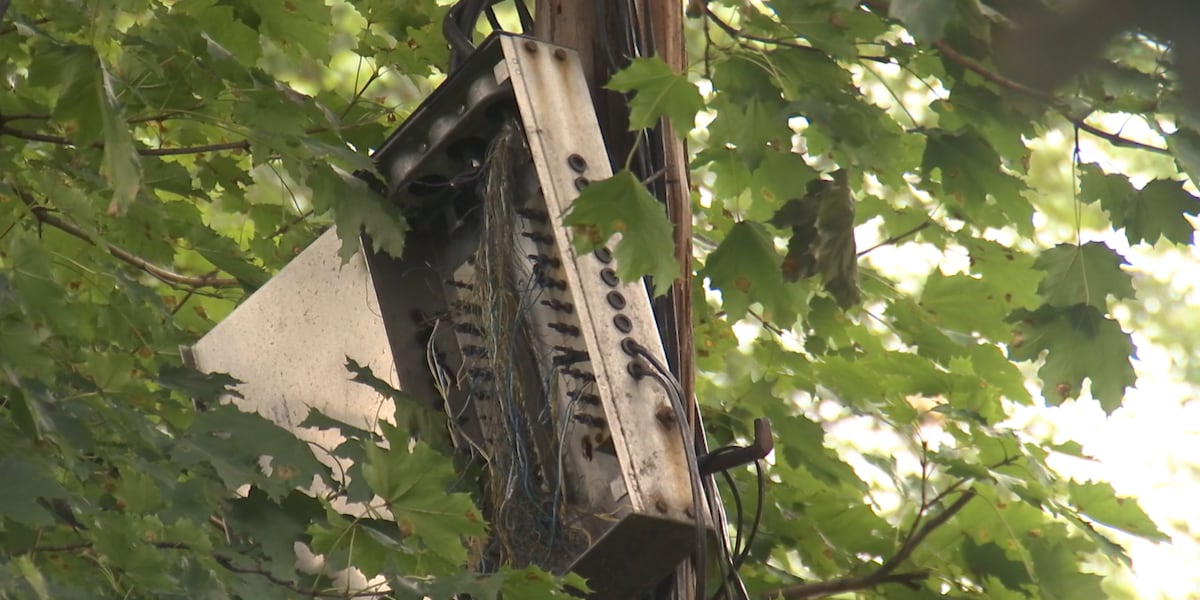 Woman afraid to enter own backyard full of downed wires
