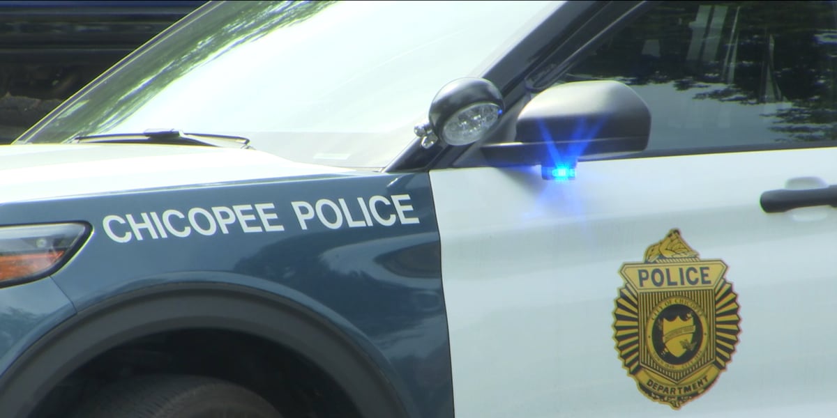 Chicopee Police arrest teen allegedly driving stolen car, possessing gun
