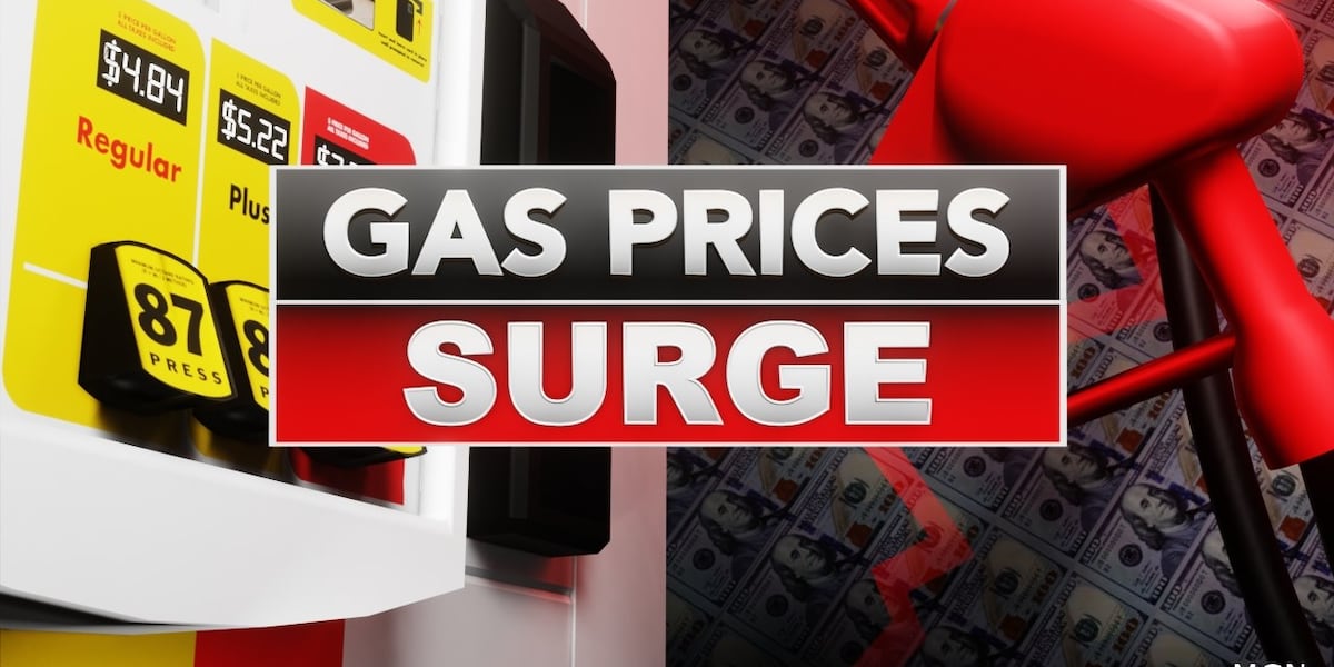 Fish prices increase with gas prices, demand