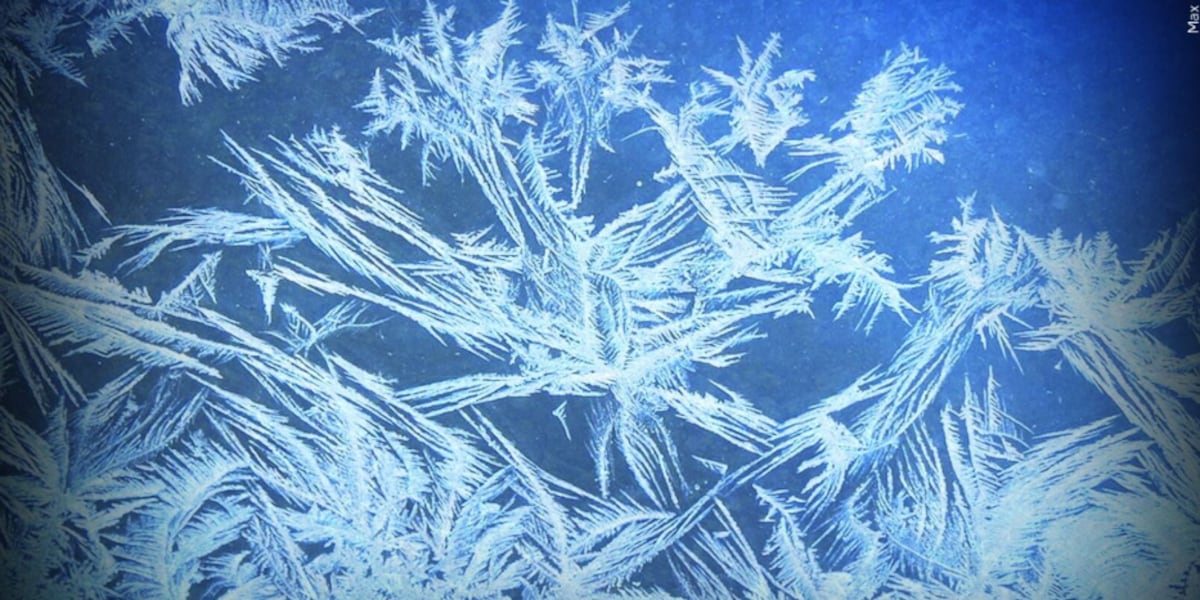 Doctors warn of cold weather health risks as frigid temperatures continue
