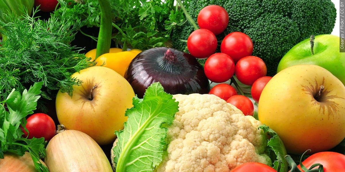 Pop-up farmstand aims to help combat food insecurity