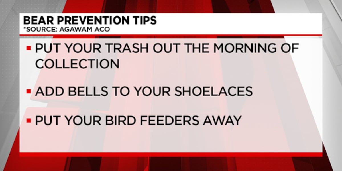 How to start bear-proofing your yard this spring