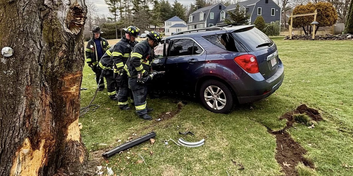 Rescue crews respond to car on tree crash