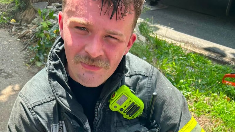 Springfield Firefighter saving cat