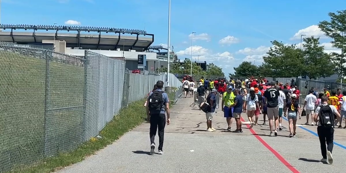 Soccer fans celebrate final match at Boston Stadium