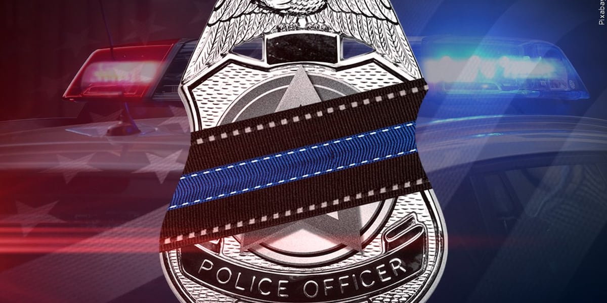 Blue Star Family license plate signed into law for families of fallen officers