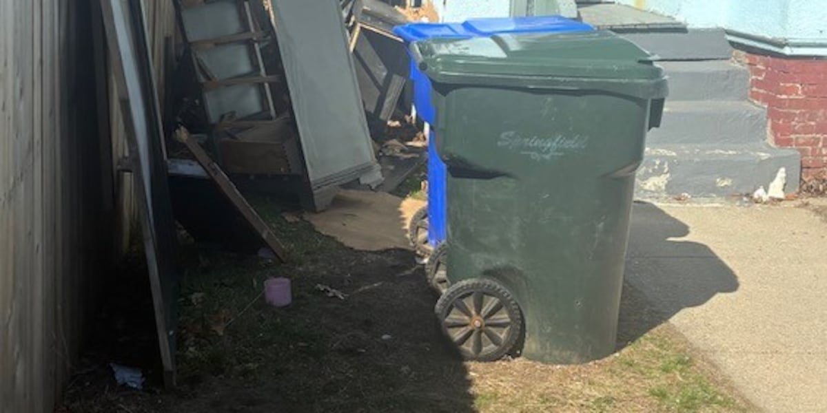 Over 100 tickets issued in Springfield neighborhood quality-of-life sweep