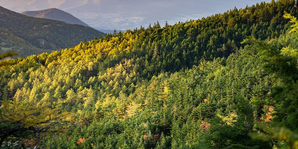 Department of Conservation acquires over 380 acres of land in Berkshire County