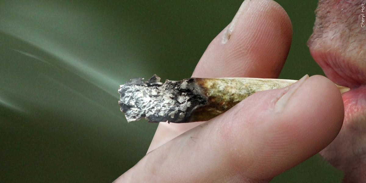 Ballot question could repeal marijuana laws in Massachusetts