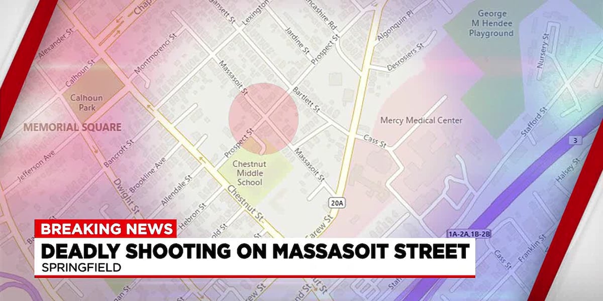 Springfield Police arrest 18-year-old in connection with deadly shooting