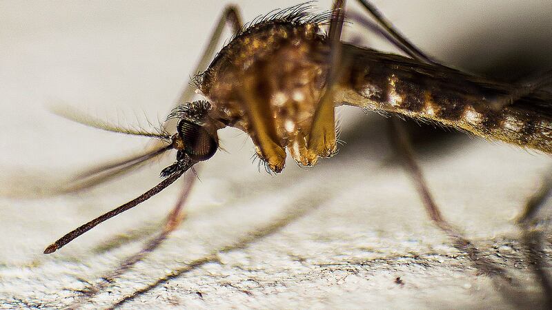 The county health department is vigilant when it cones to tracking the virus.