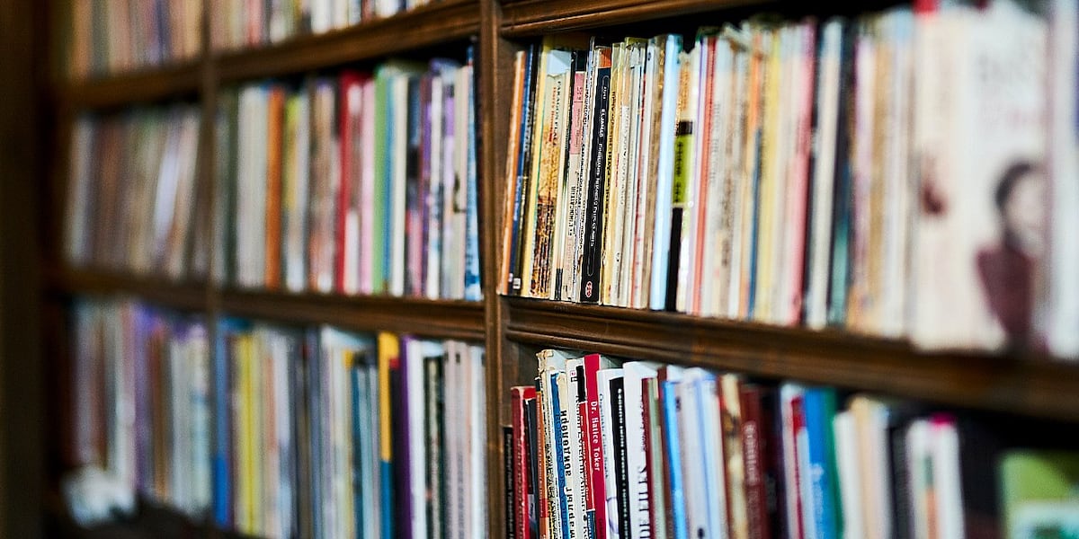 Bill to grant librarians more control over books advances in Mass. legislature