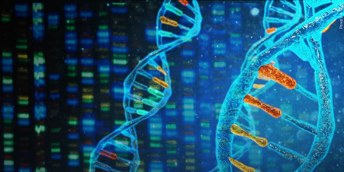 Hampden D.A. hopes pancake breakfast DNA drive helps solve cold cases