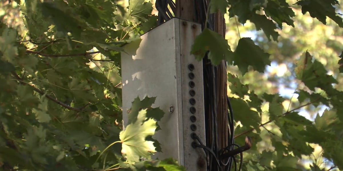 Utility crews clear wires from homeowner’s property following August storm