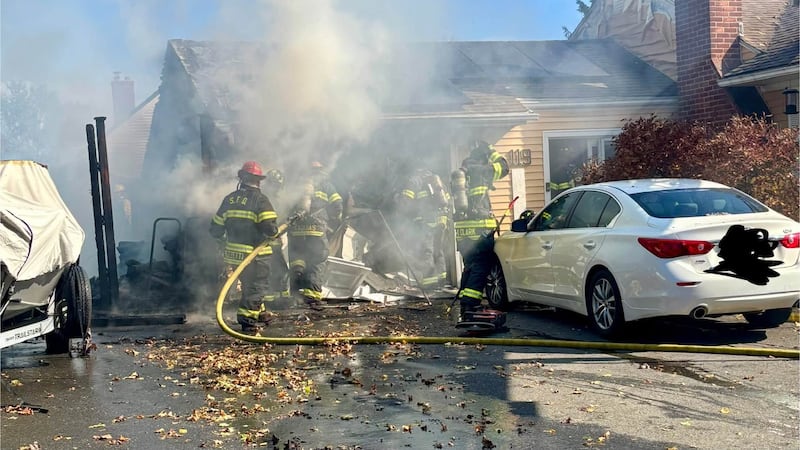 Meadowlark Drive Springfield fire