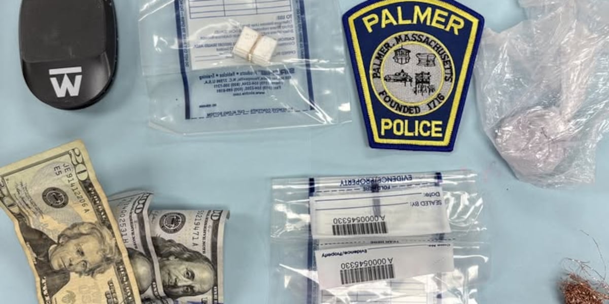 Traffic stop leads to arrest in Palmer