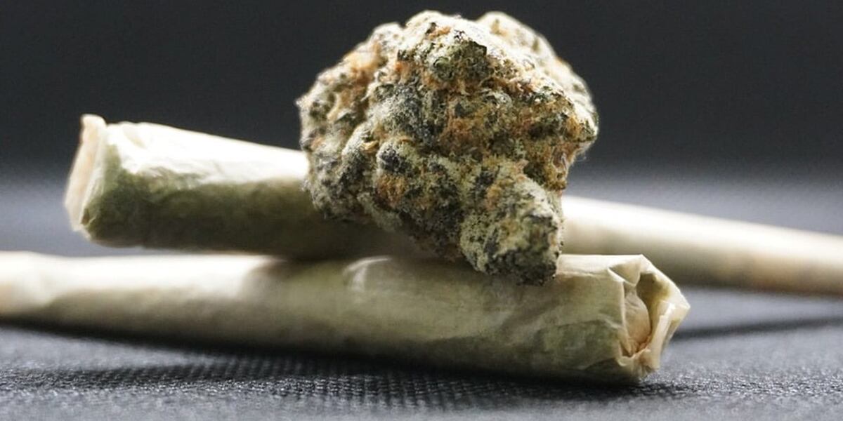 Western Mass. communities mulls potential for cannabis cafes