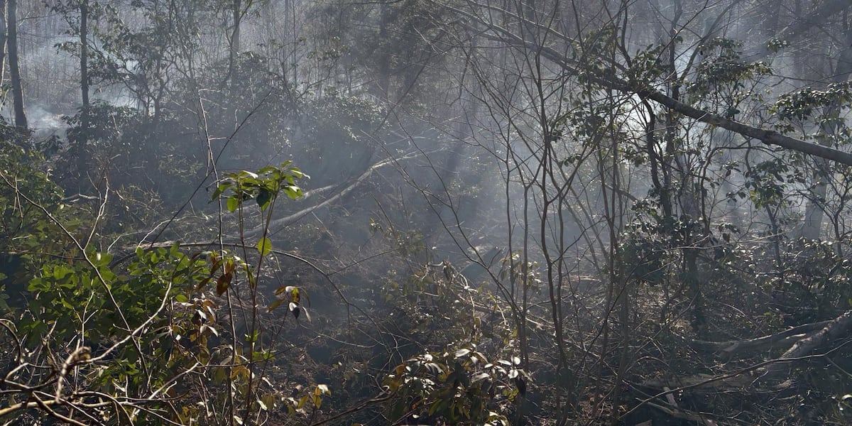Fire crews trek the forests to fight brush fire