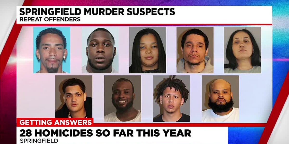 Court documents reveal out of 28 homicides in Springfield, several ...