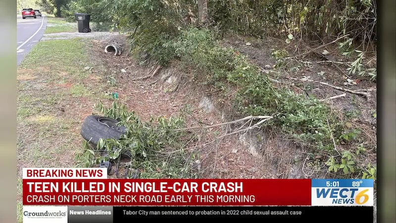 A teenager died early Thursday morning after their car left the roadway in the Porters Neck...