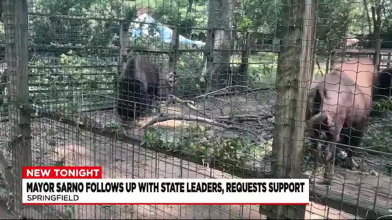 Mayor Sarno follows up with state, federal officials for support