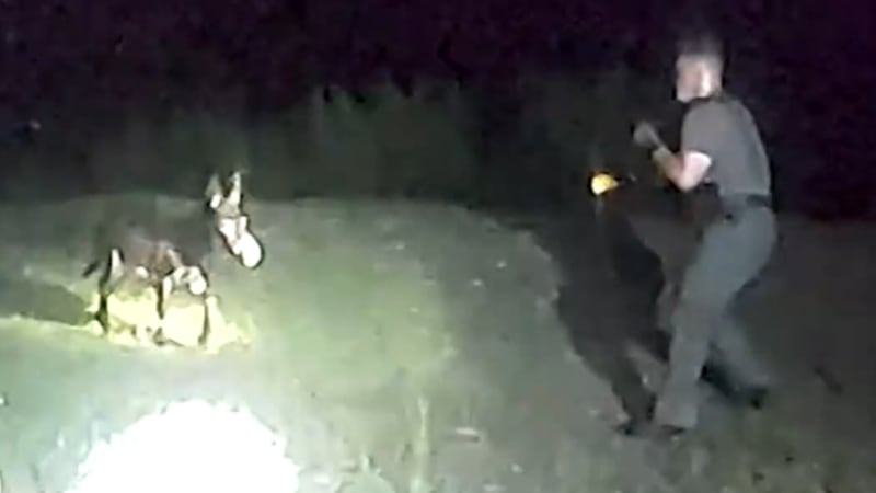 (Source: CNN, Cedartown Police/Attorney Chris McCormick/WUPA, WXIA, Hannah Israel, Reason,...
